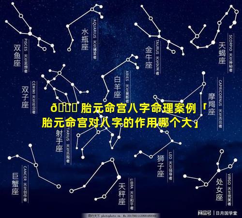 🐒 胎元命宫八字命理案例「胎元命宫对八字的作用哪个大」